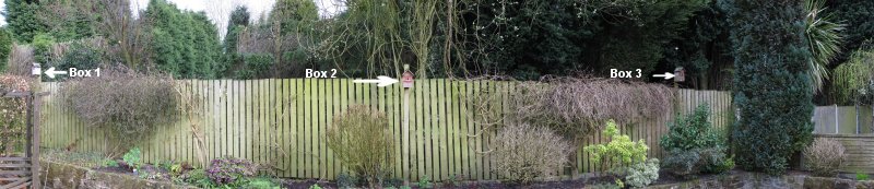 The 3 bird boxes